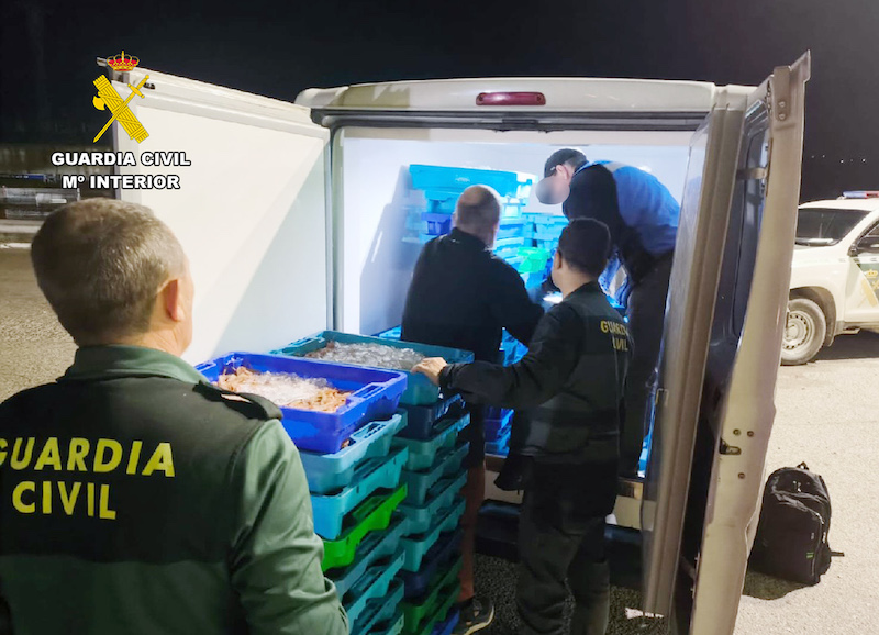 Agentes de la Guardia Civil inspeccionan una furgoneta con merluza inmadura.