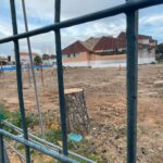 Terreno despojado de pinos en el colegio Virgen de Loreto