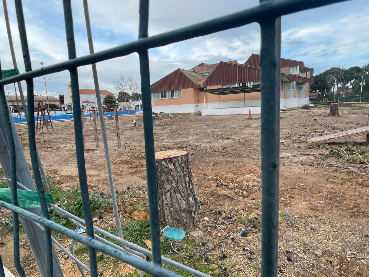 Terreno despojado de pinos en el colegio Virgen de Loreto