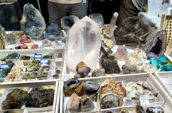 Exhibición de minerales y fósiles en la Feria de La Unión