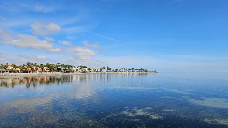 Vista tranquila de las playas de Los Alcázares con palmeras y agua clara