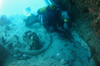 Buceador explorando el yacimiento Bajo de la Campana en el mar