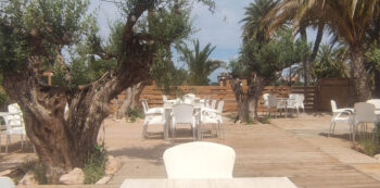 Espacio exterior del Camping Las Salinas con olivos y sillas blancas