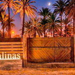 Entrada del Camping Las Salinas con palmeras y cielo nocturno
