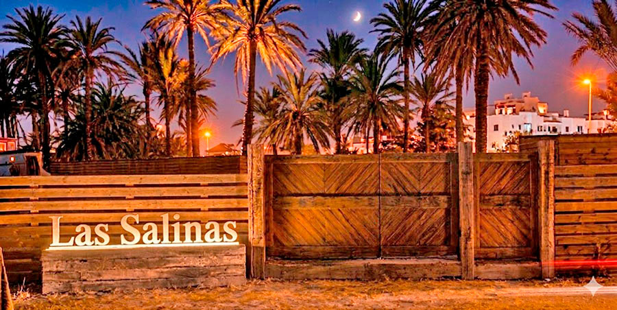 Entrada del Camping Las Salinas con palmeras y cielo nocturno
