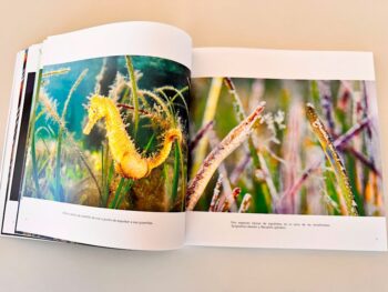 Imagen de un libro sobre la biodiversidad del Mar Menor con caballitos de mar