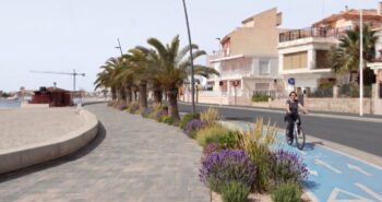 Carril bici en San Pedro del Pinatar con palmeras y flores