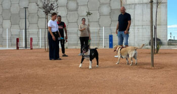 Inauguración del parque canino en Balsicas con perros y dueños