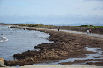 Vista de la playa de La Llana con erosión y personas caminando