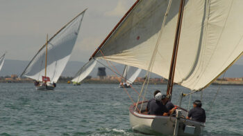 Regatas de la Vela Latina en el Mar Menor con embarcaciones tradicionales