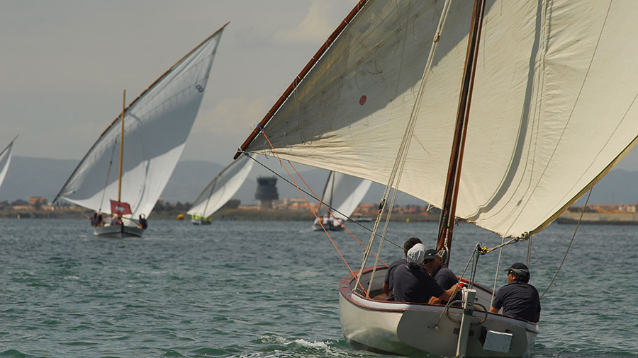 Regatas de la Vela Latina en el Mar Menor con embarcaciones tradicionales