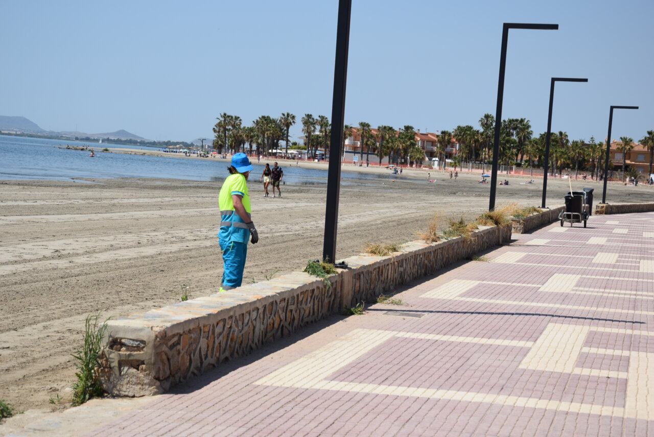 Persona limpiando la playa de Los Narejos en Los Alcázares