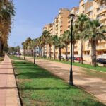 Paseo con palmeras y farolas en La Manga del Mar Menor