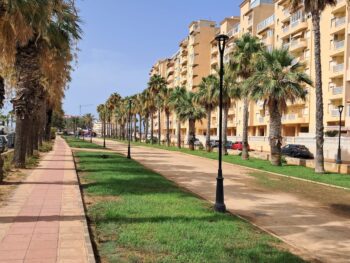 Paseo con palmeras y farolas en La Manga del Mar Menor