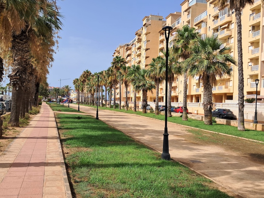Paseo con palmeras y farolas en La Manga del Mar Menor