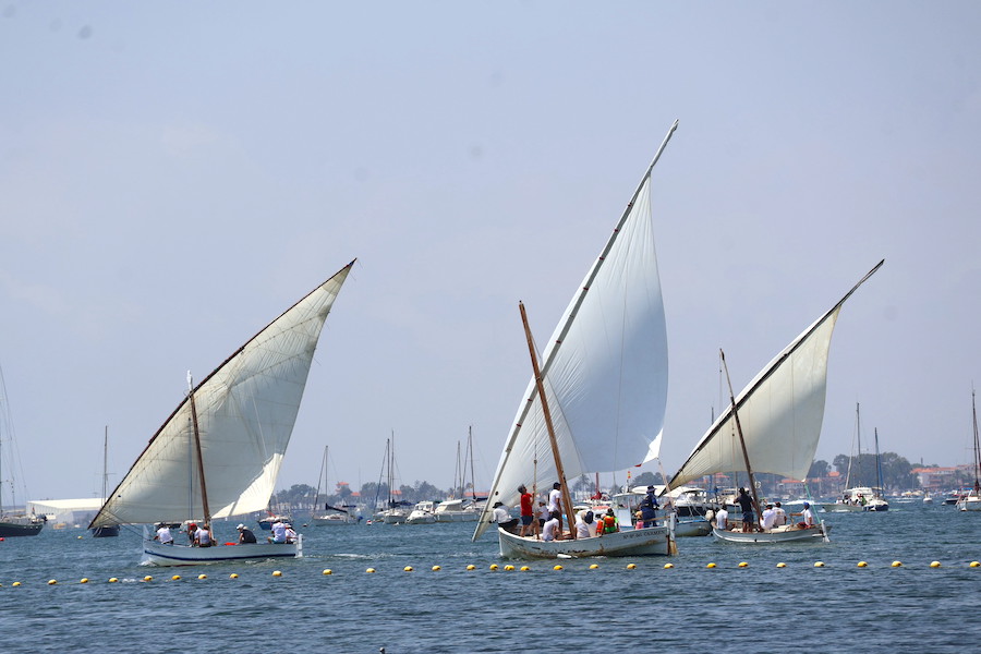 Embarcaciones de vela latina compitiendo en el Mar Menor durante la regata.