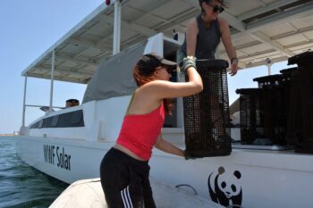 Investigadores trabajando en el catamarán WWF Solar en el Mar Menor