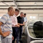 Investigadores observando tanques de cultivo de sepias en acuicultura