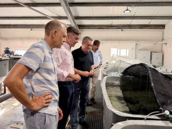Investigadores observando tanques de cultivo de sepias en acuicultura
