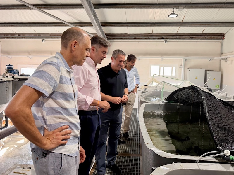 Investigadores observando tanques de cultivo de sepias en acuicultura