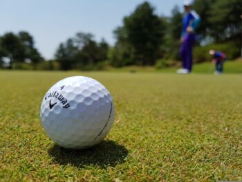Pelota de golf en el green durante un torneo de golf